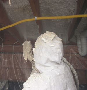 Fort Lauderdale FL crawl space insulation